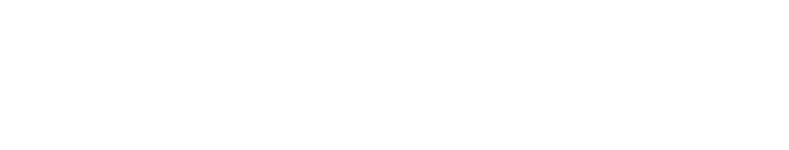 Lender & Spender Partner support Logo